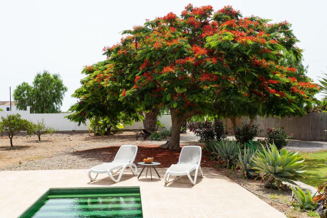 Caserio De Guaza Palm-mar Eksteriør billede